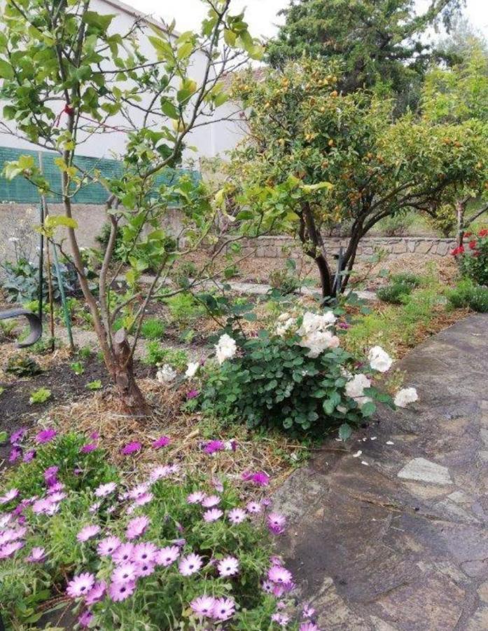 Apartmán Casa Rossa Solenzara Sari-Solenzara Exteriér fotografie